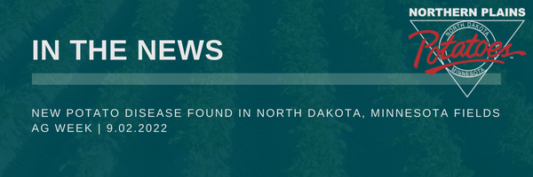 New Potato Disease Found in North Dakota, Minnesota Fields
