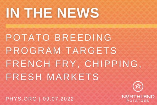 Potato Breeding Program Targets French Fry, Chipping, Fresh Markets