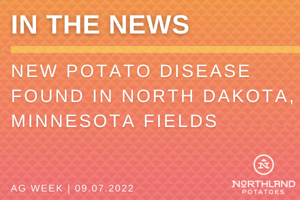 New Potato Disease Found in North Dakota, Minnesota Fields