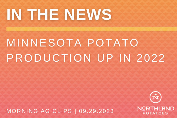 Minnesota Potato Production Up in 2022